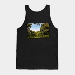 Woodland on Castle Hill, Ljubljana, Slovenia Tank Top